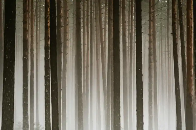 Featured image of post Konfigurasi Setting Awal Django